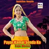 About Payar Kamal Senda Ko Song